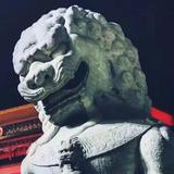 善修239头像