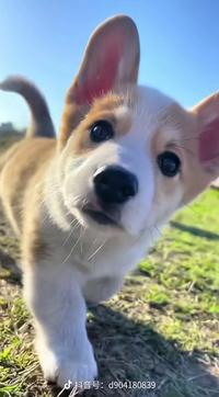 潍坊田野汽车头像