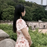 四川武胜燕子头像