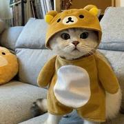 Iridescent231的个人资料头像