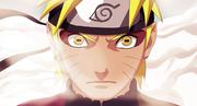 naruto的个人资料头像