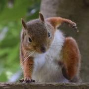 用户3759082532715的个人资料头像