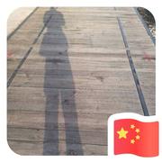 星尘微光的个人资料头像