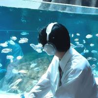 商务旅行社阿齊头像