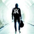 AlanWalker8854头像