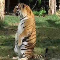 用户3114428378415头像