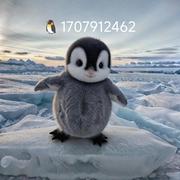 撸大毛网络科技的个人资料头像