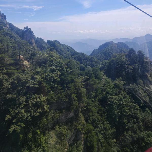刀拍西瓜皮头像