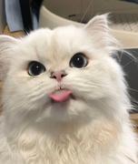 易想天开yh的个人资料头像