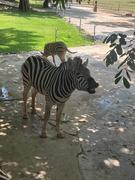 松下晒谷子的个人资料头像