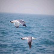 蜜桃乌龙359的个人资料头像