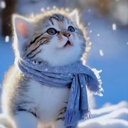 ming2xiao的个人资料头像