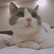 用户1619158604250的个人资料头像