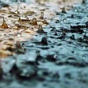 690ptkbts6s1y8q1rvrvs1uol的个人资料头像