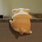 青燚的个人资料头像