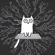 猿的码的个人资料头像