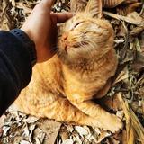 彳余福头像