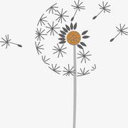 7月35的个人资料头像