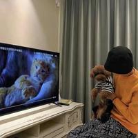 运筹帷幄溪水N4n头像