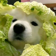 测试888_的个人资料头像