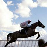 杜罕毛原平843班杜稹139941286头像