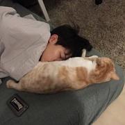方糖不甜的个人资料头像