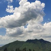 黄金小白训练中头像