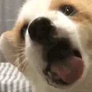 超爱吃芒果的个人资料头像