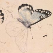 GongDN的个人资料头像