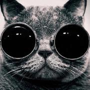 cduyzh的个人资料头像