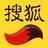 搜狐网汽车头像