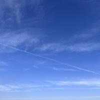 车尾扬起的自由头像