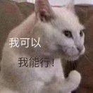 大菠萝盖饭的个人资料头像