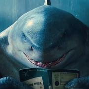 AxeIvan的个人资料头像