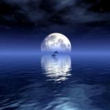 优雅辽阳7o1头像
