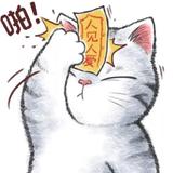 TorYez头像