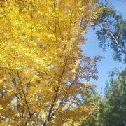 沈祥佑的个人资料头像