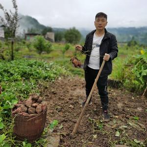 田园生活小成头像