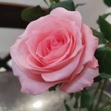 木毎121头像