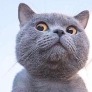 丶小阿土的个人资料头像