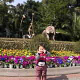 康娃子8q2Y头像