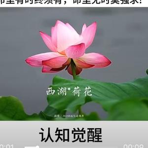 重温世界历史头像
