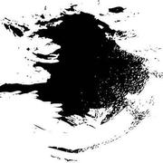 liangwenle的个人资料头像