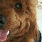 Faded重名了的个人资料头像