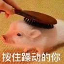 龙飞在掘金48922的个人资料头像