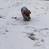 lucky爱吃水果头像