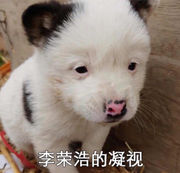 jasong的个人资料头像