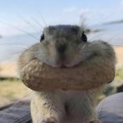 BinGo_的个人资料头像