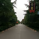 过江龙8044头像