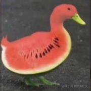小西嘎的个人资料头像